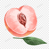WWW,657av·COM网站APPAPP应用